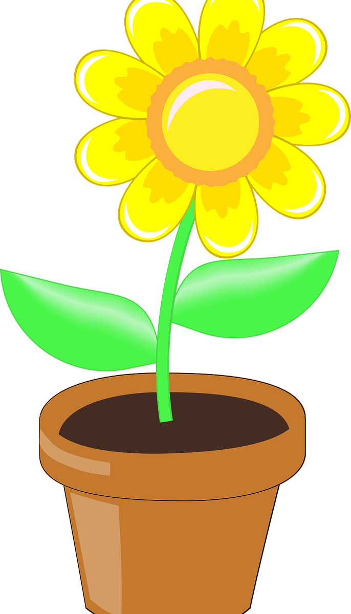 Yellow Flower Pot