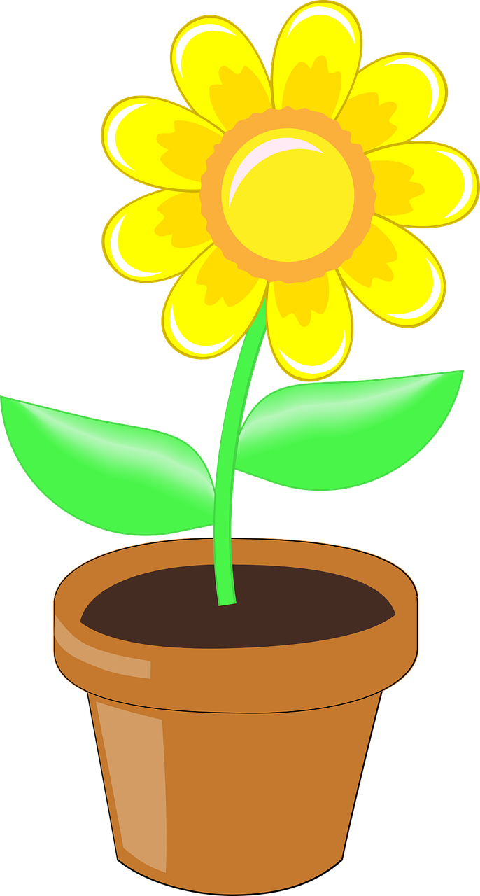 Yellow Flower Pot