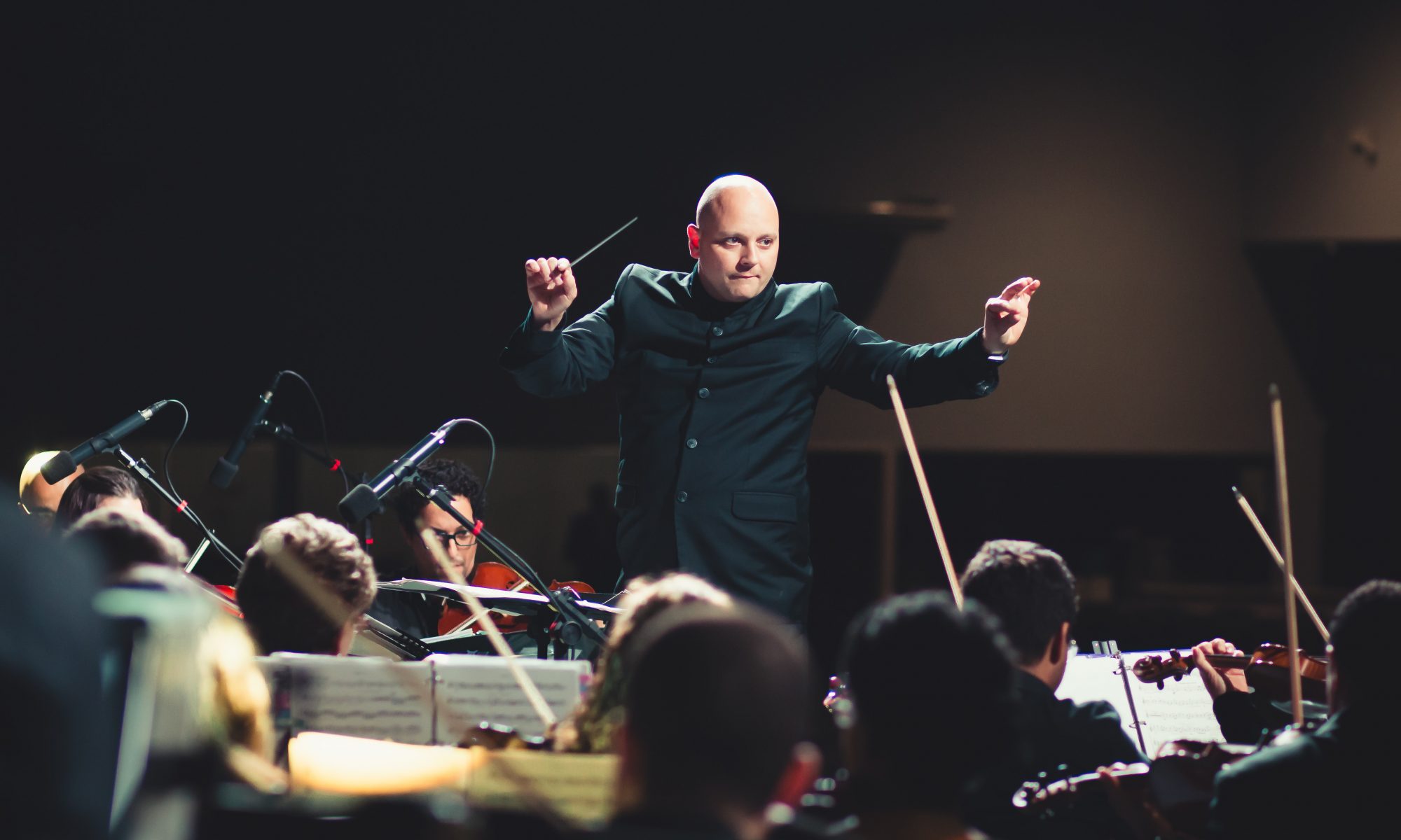 Orchestra Conductor Performance