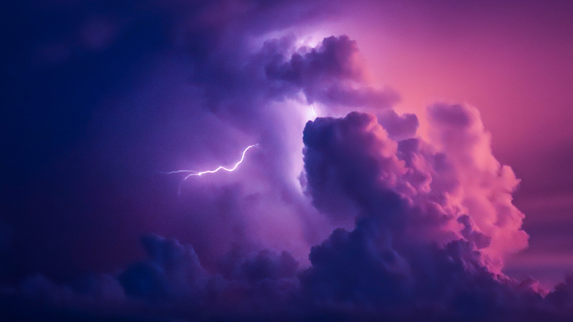 Lightning Purple